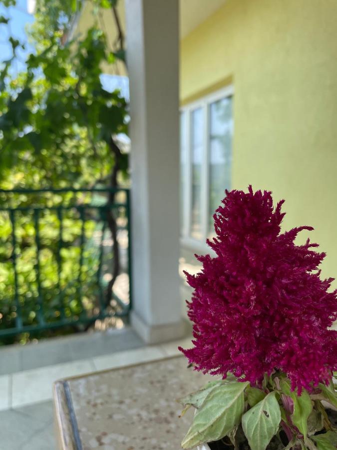 Apartments Mornar Poljica  Dış mekan fotoğraf